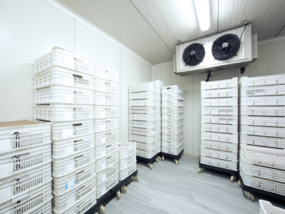 Commercial Refrigeration